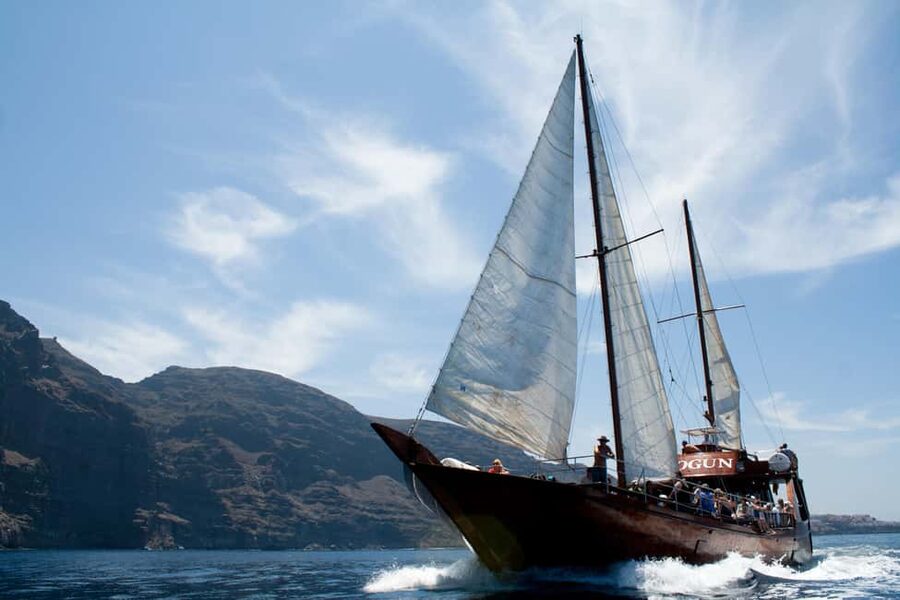 Tenerife: Whale & Dolphin Watching Cruise with Swim Stop - FAQ