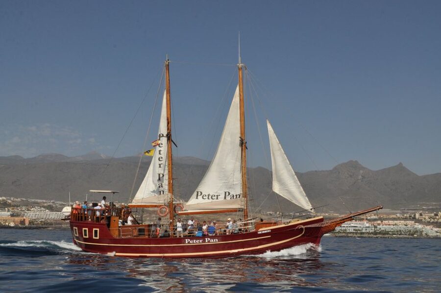 Tenerife: Whale & Dolphin Watching Cruise with Swim Stop - Is Peter Pan the right Tenerife boat trip for you?