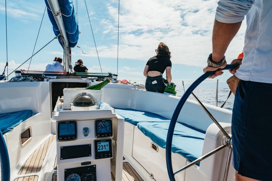 Tenerife: Whale & Dolphin Watching with Drinks and Snacks - Should you book this Tenerife whale watching tour?