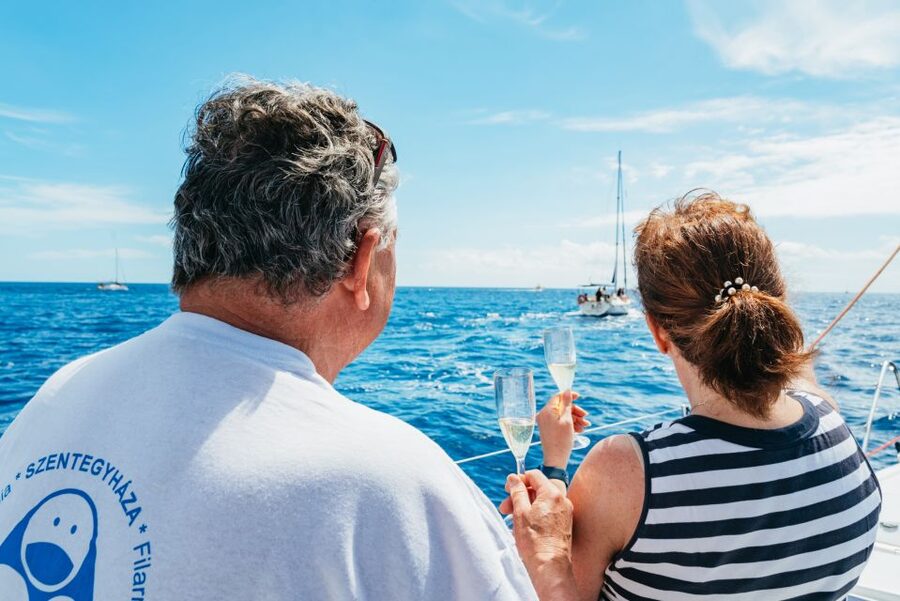 Tenerife: Whale & Dolphin Watching with Drinks and Snacks - The quiet bay and snorkeling stop