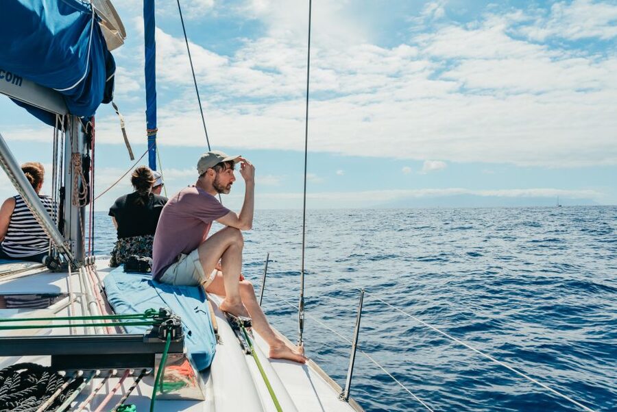 Tenerife: Whale & Dolphin Watching with Drinks and Snacks - Sandwiches, fruit, and unlimited drinks