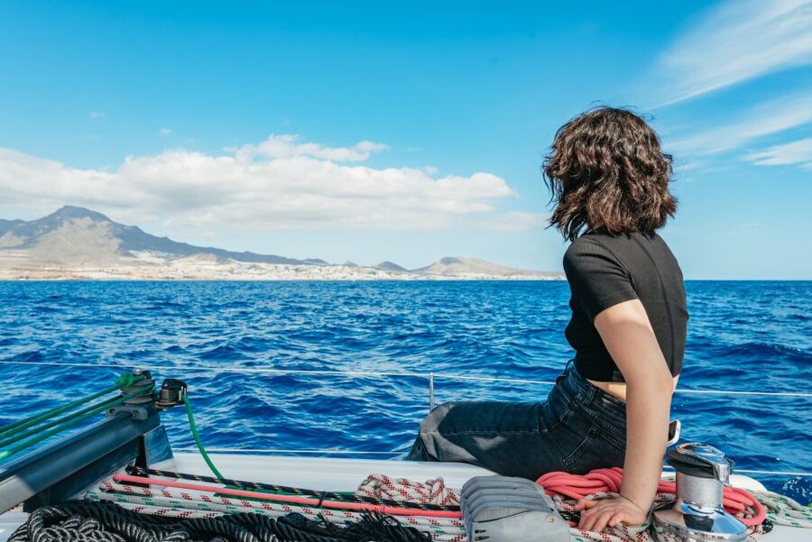 Tenerife: Whale & Dolphin Watching with Drinks and Snacks - Is $77 good value?