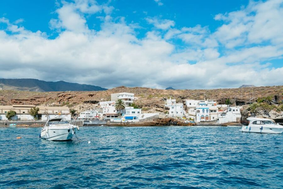 Tenerife: Whale & Dolphin Watching with Drinks and Snacks - Practical details that make the day easier