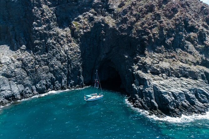 Tenerife Whale Watching and Snorkeling Yacht Trip - Why this three-hour trip works