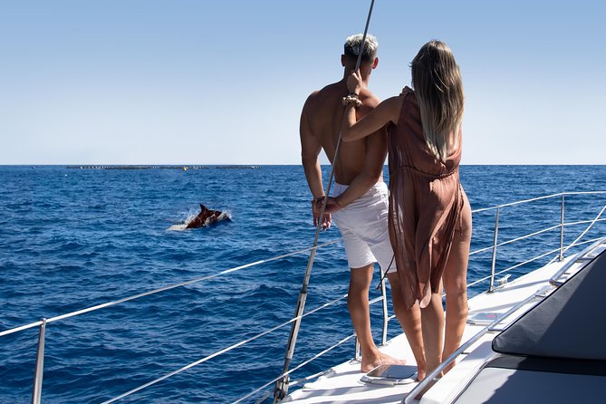 Tenerife Whale watching on private charter - Watching pilot whales and bottlenose dolphins