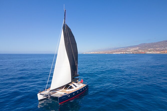 Tenerife Whale watching on private charter - Is $1,055.39 good value for a group?