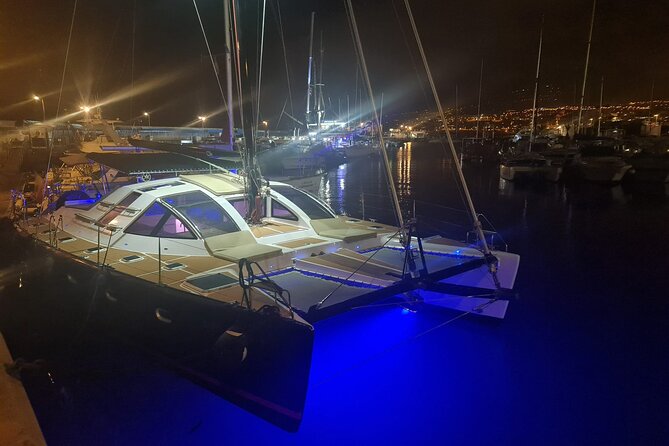 Tenerife Whales and Dolphins Watching Experience in Catamaran - Setting out from Puerto Colón in Costa Adeje