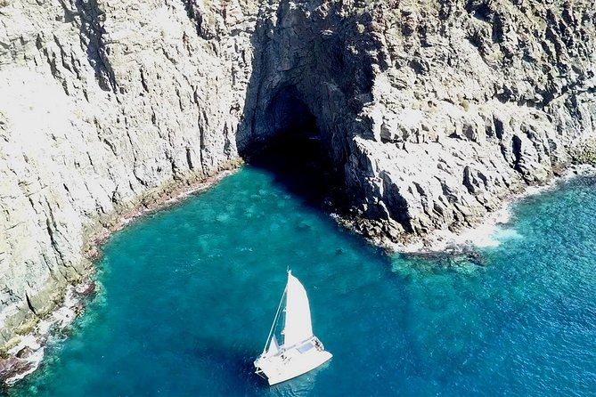 Tenerife Whales and Dolphins Watching Experience in Catamaran - Is the $68.98 fare good value?