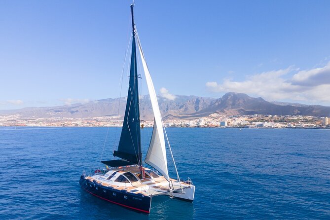 Tenerife Whales and Dolphins Watching Experience in Catamaran - Who should book this catamaran trip?