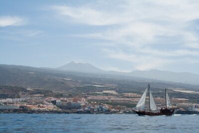 Whales and Dolphins with Food and Bath in Los Gigantes