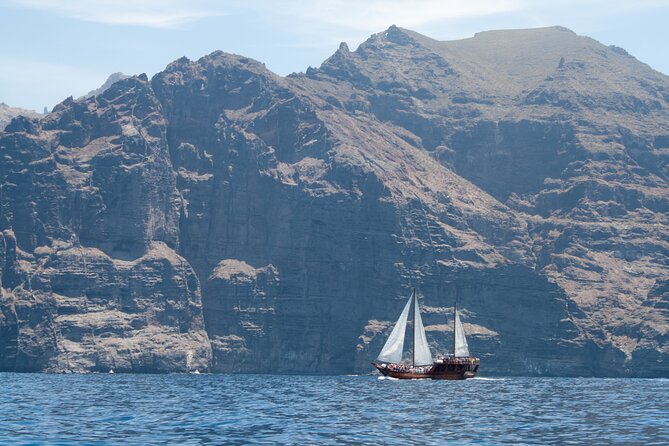 Tenerife : Whales and Dolphins with Food and Bath in Los Gigantes - Lunch on the Shogun