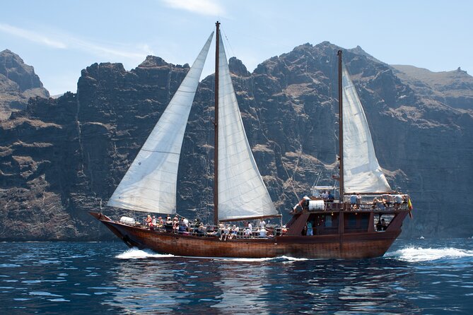 Tenerife : Whales and Dolphins with Food and Bath in Los Gigantes - Pickup, clothing, and useful packing advice