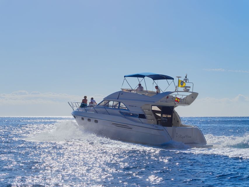 Tenerife: Whales and Snorkeling Tour on a Luxury Yacht - Tapas, cava, and an easy lunch at sea