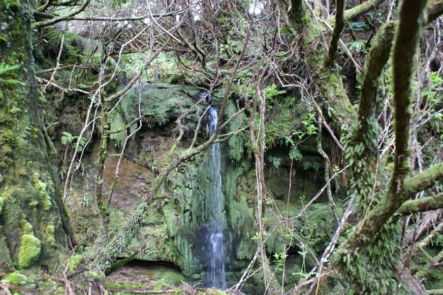 Terceira Island Whale Watching and Jeep Tour - From the boat to Terceira’s back roads