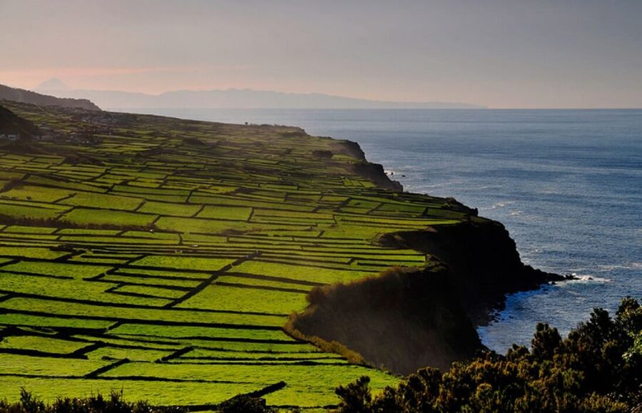 Terceira Island Whale Watching and Jeep Tour - Pickup from Angra or Praia da Vitória