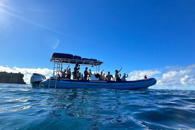 The Best 2.5 Hour Molokini Snorkel Tour & Whale Watch - A good choice for mixed-age groups