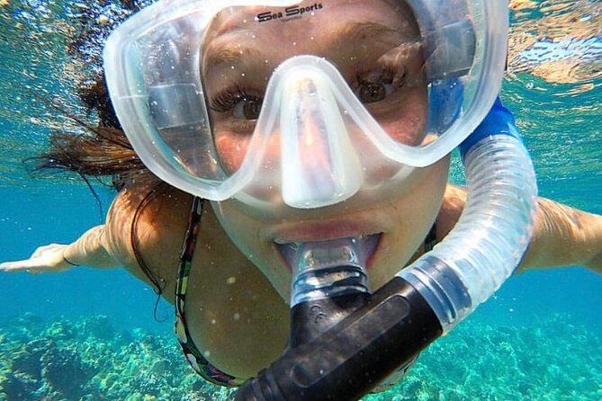 The Best 2.5 Hour Molokini Snorkel Tour & Whale Watch - What the $169.59 price includes