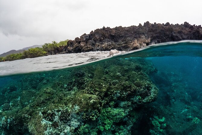 The Best 2.5 Hour Molokini Snorkel Tour & Whale Watch - Weather, timing, and the small-boat tradeoff