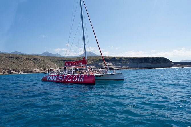 Tour with Whale and Dolphin Watching plus food included - From Puerto Colón into open water