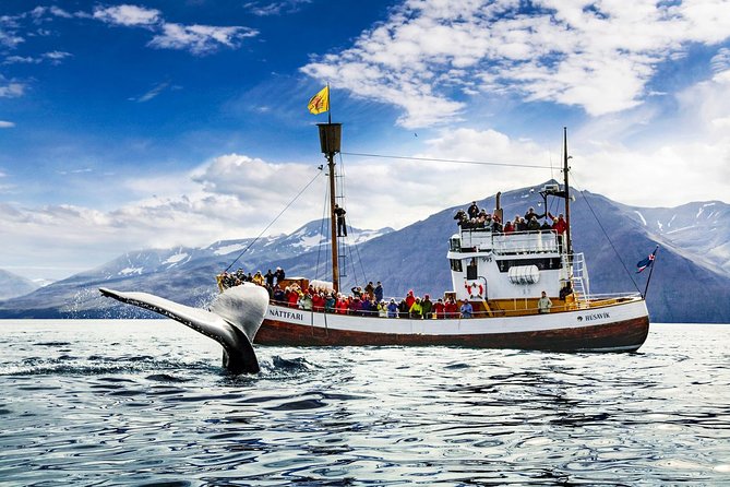 Traditional Oak Ship Whale Watching Tour From Husavik - Sailing from Húsavík into Skjálfandi Bay
