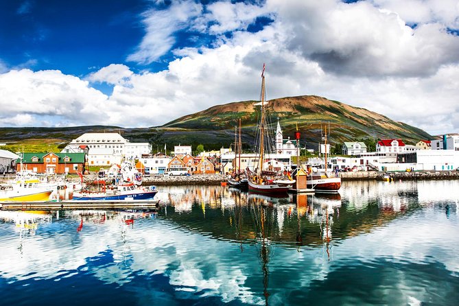 Traditional Oak Ship Whale Watching Tour From Husavik - Hot chocolate and cinnamon rolls on the way home