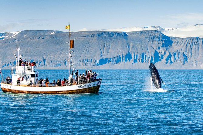 Traditional Oak Ship Whale Watching Tour From Husavik - Weather, cancellations, and one rare problem