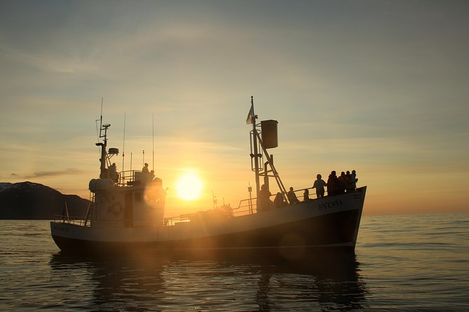 Traditional Whale Watching from Húsavík by Local Family Company - Why the guides matter