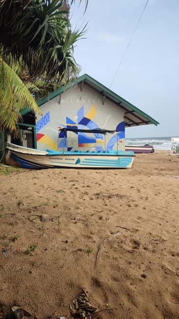 Trincomalee: Dolphin & Whale Watching Boat Tour - The ride to the dolphin area