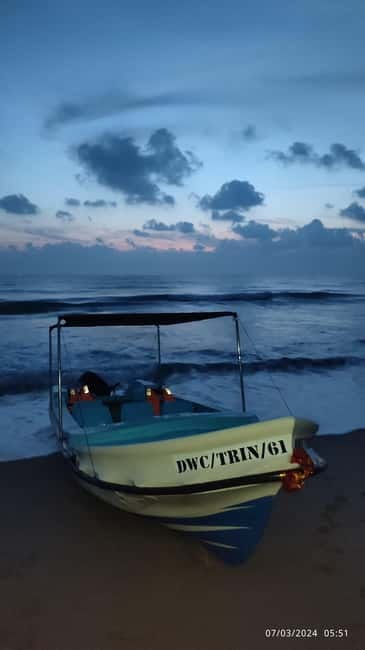 Trincomalee: Dolphin & Whale Watching Boat Tour - Practical tips for a better experience