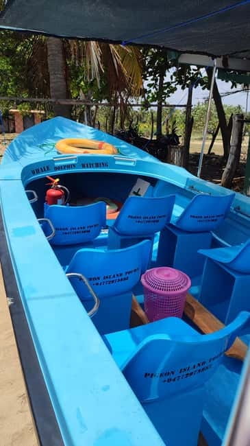 Dolphin & Whale Watching Boat Tour