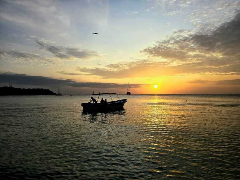 Trincomalee : Whale & dolphin watching +pigeon island tour - A small-group setup with some moving parts