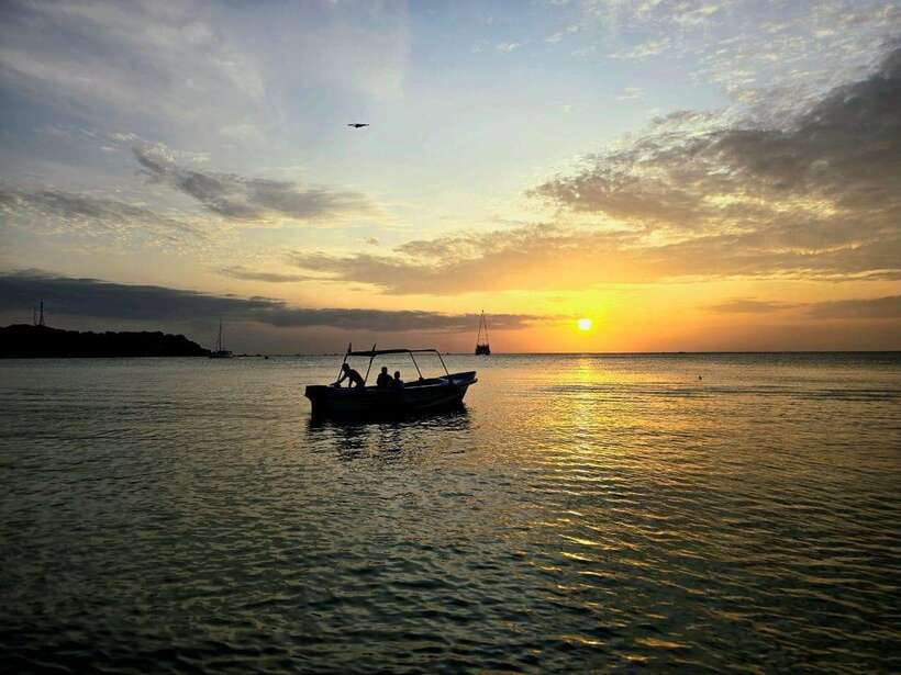 Trincomalee : Whale & dolphin watching +pigeon island tour - Searching for dolphins and whales