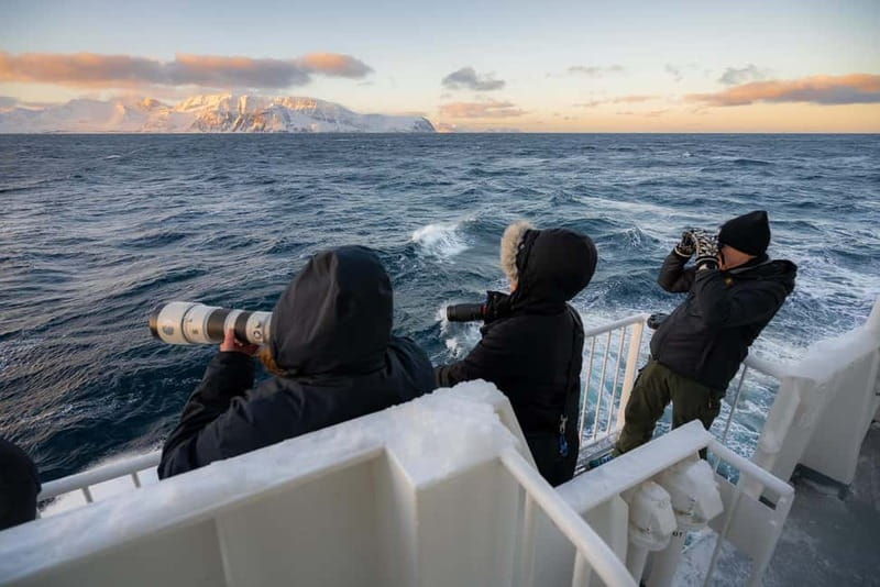 Tromsø: 24hr Northern Lights & Whale Watching Cruise - The Northern Lights lecture and night watch