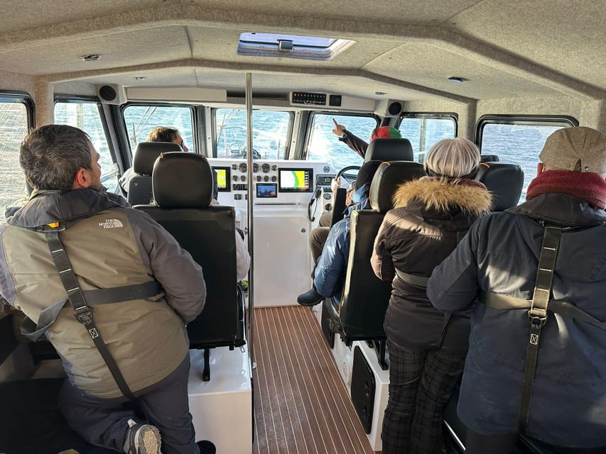 Tromsø: Orca and Whale Watching comfort heated boat Trip - Why Skjervøy is worth the long ride