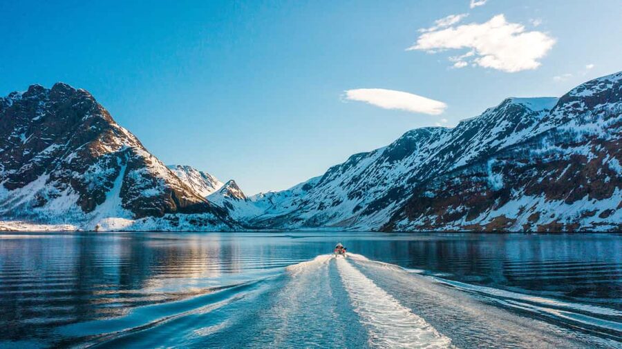 Tromsø Whale Safari with MS Keiser Wilhelm - Finding orcas and humpback whales