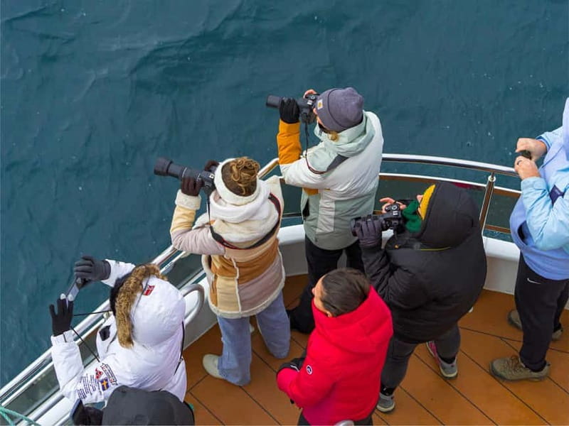 Tromsø: Whale Watching on hybrid boat with scenic bustrip - Key points to know before you book