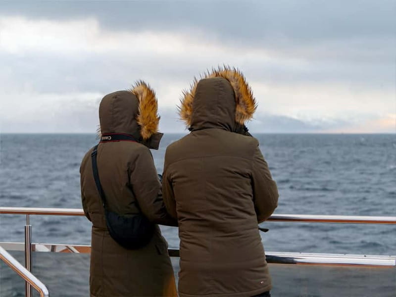 Tromsø: Whale Watching on hybrid boat with scenic bustrip - The bus-first route through fjord country