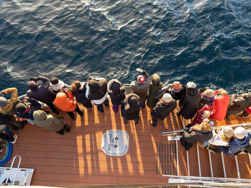 Tromsø: Whale Watching Tour by Hybrid-Electric Boat - The fjords, sunrise, and return journey