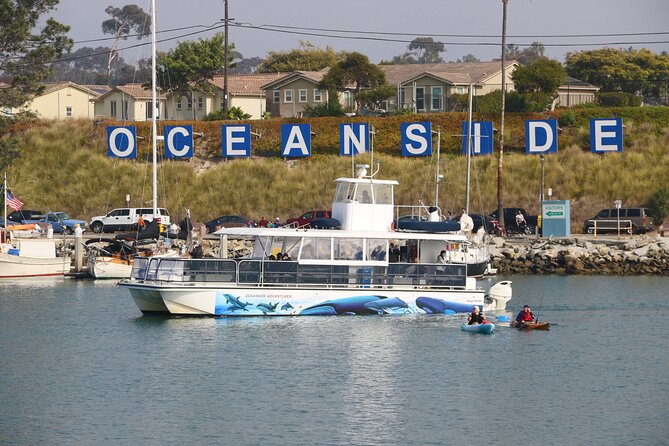 Two-Hour Luxury Whale Watching Tour from Oceanside - The captain and live narration