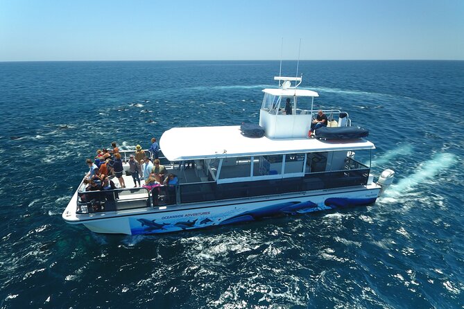 Two-Hour Luxury Whale Watching Tour from Oceanside - What the four-part route means on the water