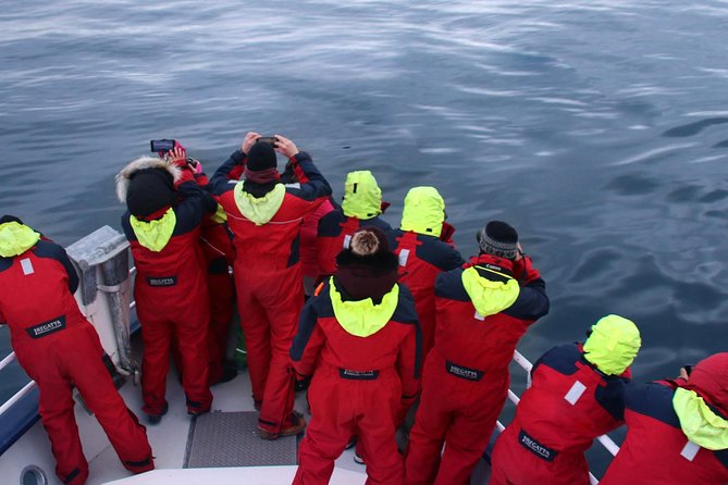 Two-In-One: Whale & Puffin Watching Tours from Reykjavik - Staying warm and comfortable offshore