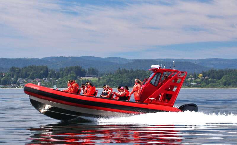 Vancouver, BC: Whale Watching Tour Small Zodiac with Guide - Searching for orcas and humpback whales