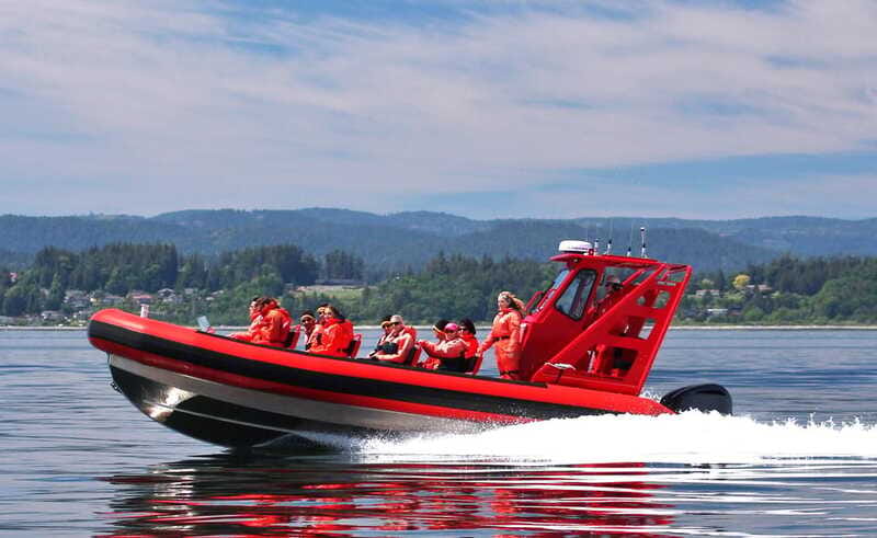 Vancouver, BC: Whale Watching Tour Small Zodiac with Guide - Is $160 a fair price?
