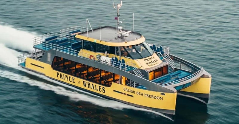 Vancouver: Covered Whale Watching Adventure with Free Photos - Free photos let you watch instead of work