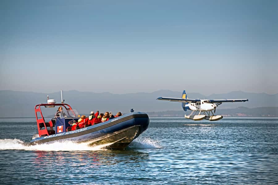 Vancouver: Day Trip to Victoria Seaplane with Whale Watching - Three hours on the water with expert guides