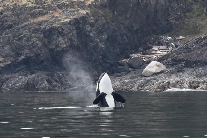 Vancouver Half-Day Whale Watching Adventure with Free Photos - Leaving Granville Island for the Pacific coast