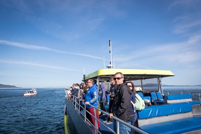 Vancouver Half-Day Whale Watching Adventure with Free Photos - Why the naturalists matter