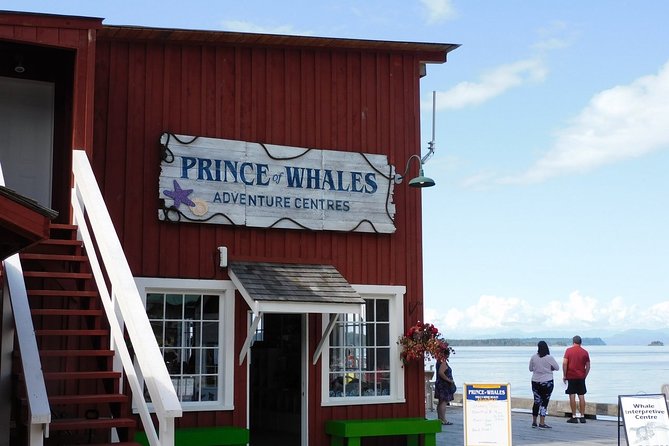 Vancouver Island Half-Day Whale Watching Tour - Telegraph Cove - The boat, weather, and comfort