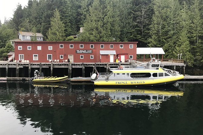 Vancouver Island Half-Day Whale Watching Tour - Telegraph Cove - Booking timing, cancellation, and practical details