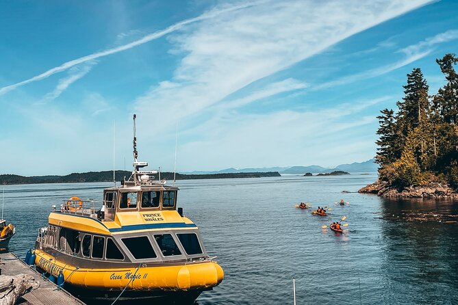 Vancouver Island Half-Day Whale Watching Tour - Telegraph Cove - What you may see on the water